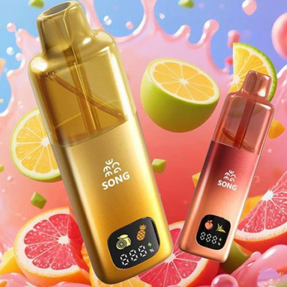 SONG崧A66